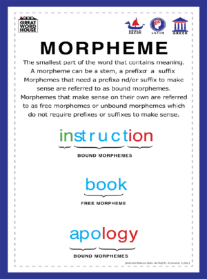 Morphology Definitions (Set of 10)